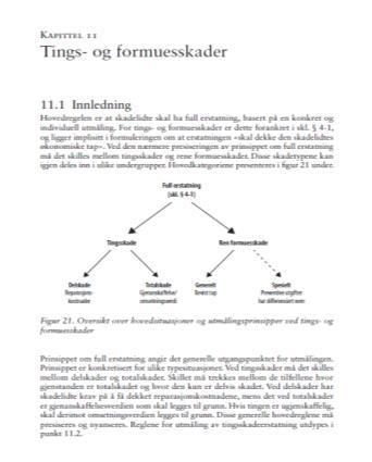 II Tings- og formuesskadeerstatning (kort) Utmålingsprinsipper - tings- og formuesskader Slå opp i Disposisjonsheftet s. 11 f.