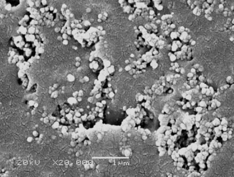 Trykkavhenging vanndiffusjon Materiale: Sotfylt (carbon black) polypropylen Anvendelse: Feltstyring, ytre halvleder på kabel Aldret ved 65 C og 100 bar trykk i ferskvann Water concentration C (kg m