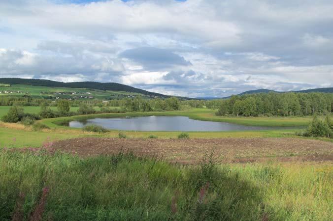 Lok -3d: kroksjø Sandbakktjønna Sandbakktjønna utgjør midtre del av den vestre kroksjøen ved Tynset sentrum (figur 5). I sørvest munner en jordbrukskanal ut i tjønna.