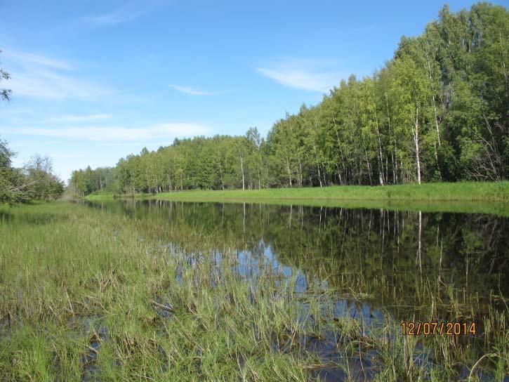 Lok -14b: flomdam på Mosholmen Dette er en langsmal flomdam (figur 15), sannsynligvis rest av et gammelt flomløp, på sørenden av Mosholmen.