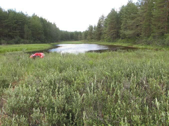 Lok -19a: Moneset, kroksjø Kroksjøen ligger ute på Moneset, mellom utløpet av Juråa og den lille elva Geita i nordre del av Storsjøen i Odalen.