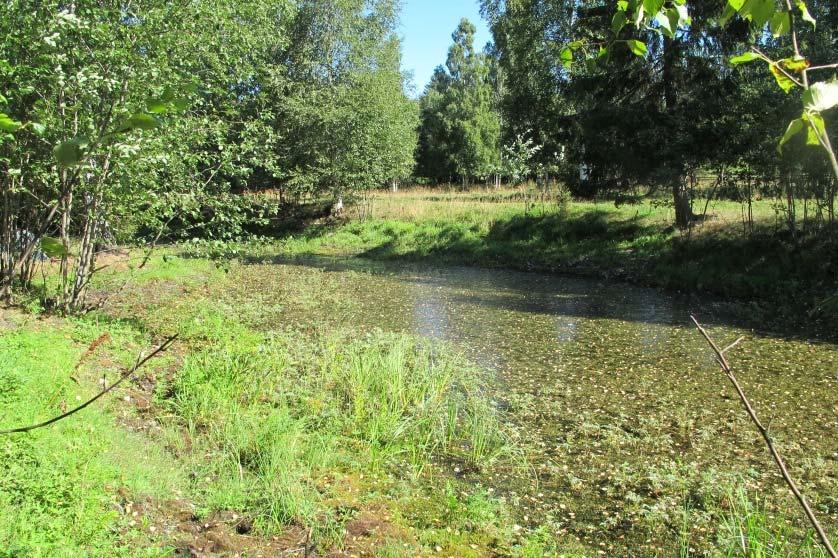 Lok -23b: Slagsvold, kroksjø NV Lokalitet -23b (figur 28) utgjør området vest for elvesvingen og fram til en gjenfylling der kroksjøen svinger mot nord og Svartelva. Vannforekomsten er ca. 1 m dyp.