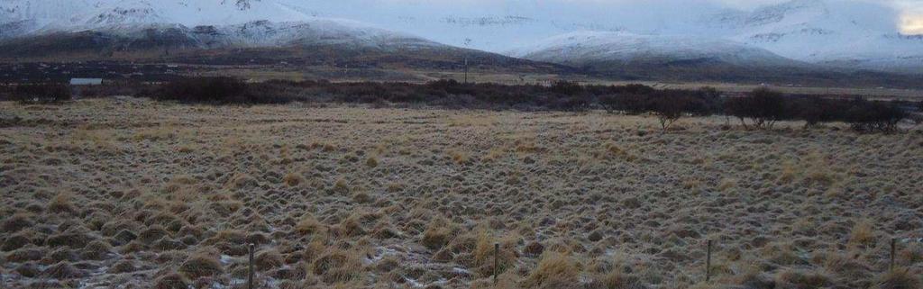 Umhirða skóganna tekur mið af útivistarnotkun. Þessi svæði eru áberandi í Skorradal, einkum vegna skarpra skila og lögunar. 4.2.1 B-1 Andamót Stífla Kort 9. B-1 Grænn bakki merkir að aðgengi sé gott.