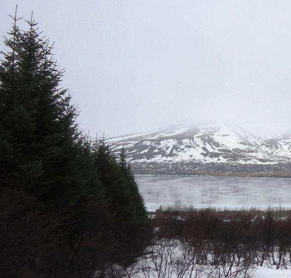 . Landslagseinkenni: Birkikjarr og snarbrattur, hár bakki út í vatn. 4.2.