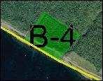 4.2.4 B-4 Háiskógur Kort 12. B-4 fékk nafnið Háiskógur en heitir í raun Háafellsreitur.