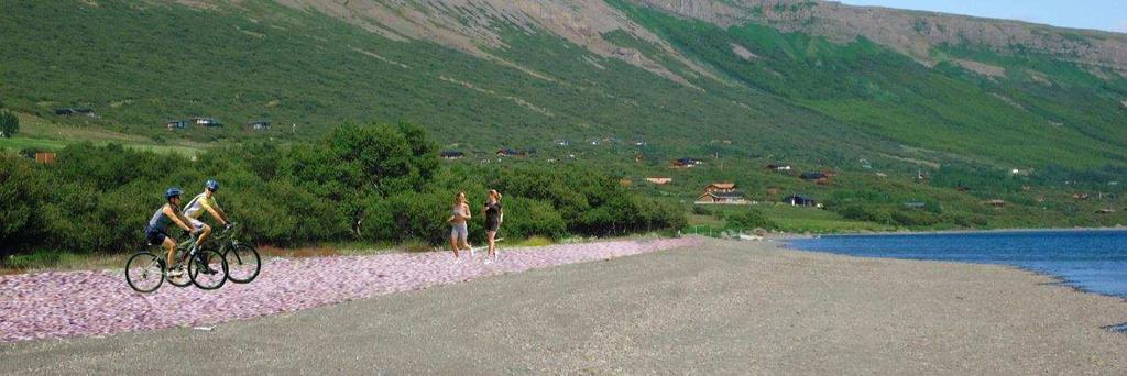 staðsetningu bátaskýla, útlit þeirra og fyrirkomulag Nefna mætti fleiri hugmyndir en þessar eru helstar. Við vinnslu verkefnisins voru fá vandamál sem komu upp. Öflun gagna gekk hægt í fyrstu.