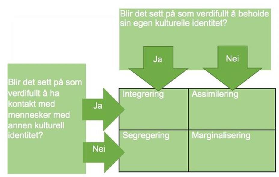 12 Akkulturasjon 4