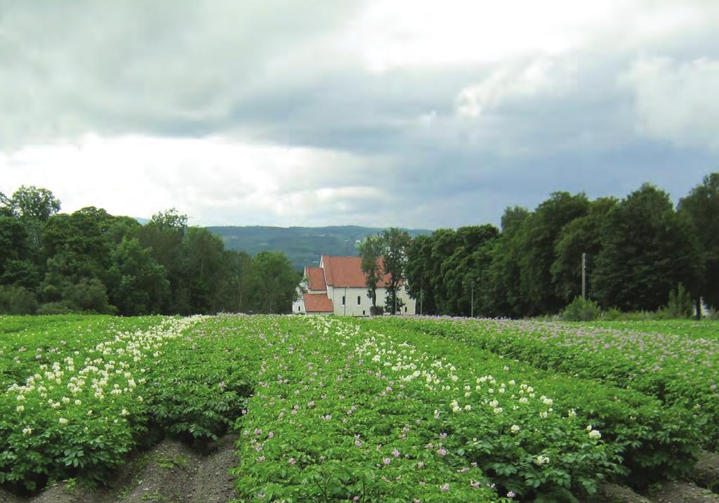 Jord- og Plantekultur 2014 / Bioforsk
