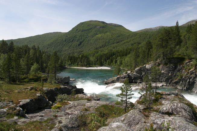 Klimamål og naturmangfold må sees i sammenheng Norge skal redusere sine klimagassutslipp med 85 % innen 2030, og stanse tapet av biologisk mangfold innen 2020.