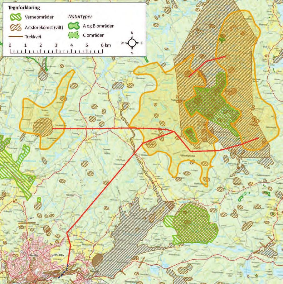 6.2.3 Flora, fauna og verneinteresser Berggrunnen i området består i hovedsak av glimmergneis/glimmerskifer/metasand/amfibolitt (Kjølen I og II, samt SV del av Kjølen III) og diorottisk til