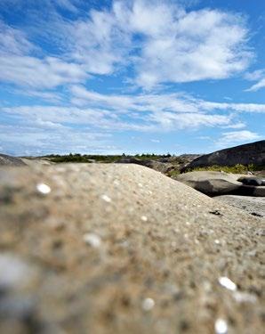 Vestfold ett av de grønneste fylkene i Norge 5.2 Avgrensning av planen Flere planer og mange tiltak går allerede i riktig, klimavennlig retning. Alle kommuner har utarbeidet klima- og energiplaner.