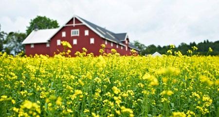 26 / RPKE 2016 2020 Strategi 1 Øke kommunenes oppmerksomhet og kompetanse på klimatilpasning Kommunene må planlegge ut fra at boligområder og infrastruktur skal kunne eksistere i et 100-års