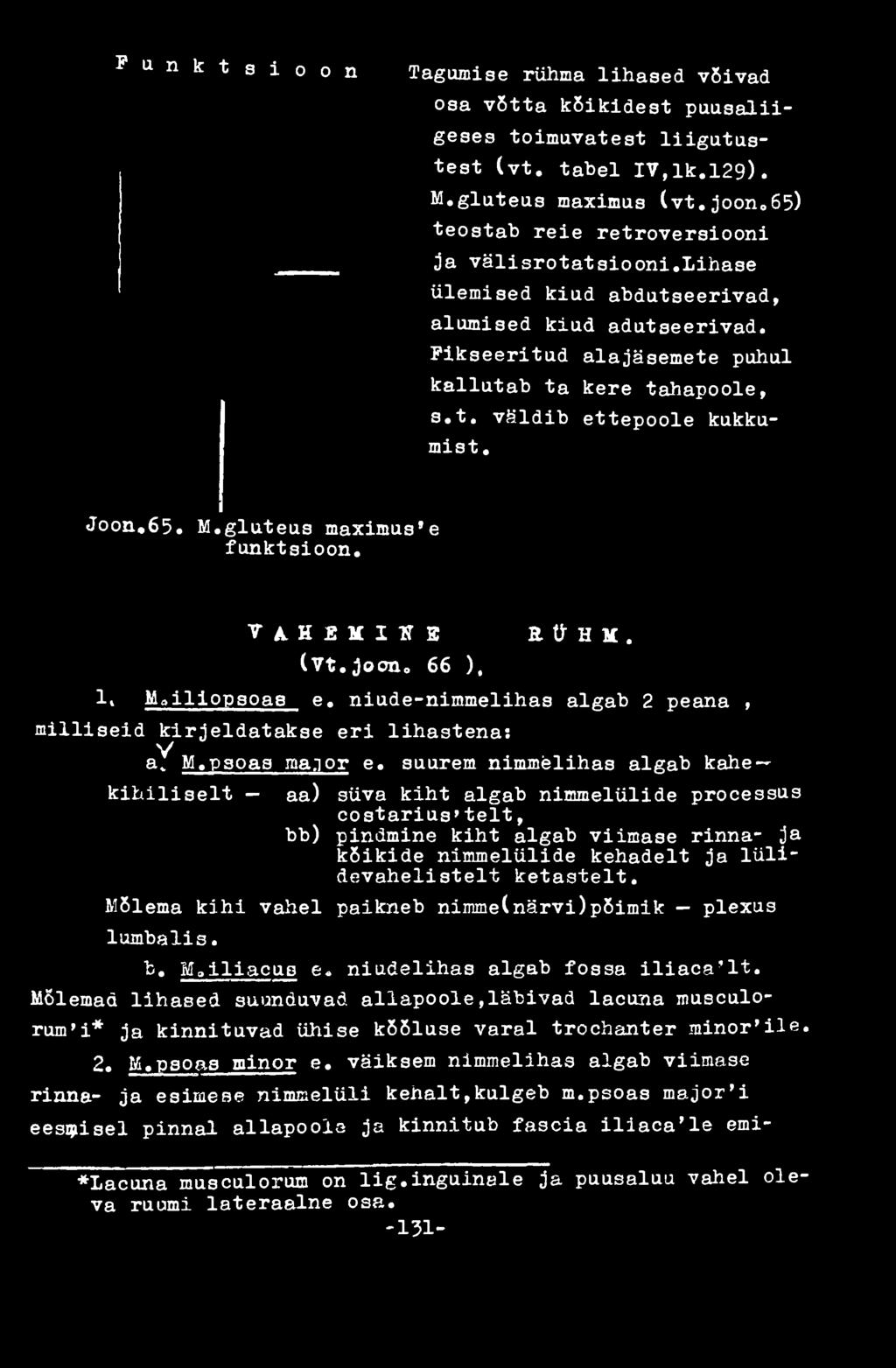 Joon,65. M.gluteus maximus'e funktsioon. ta.h MI2ÎS (Vt.joon. 66 ), RÜHM. li Moiliopsoas e. niude-nimmelihas algab 2 peana, milliseid kirjeldatakse eri lihastena: V a v M. рзоаа тал or e.