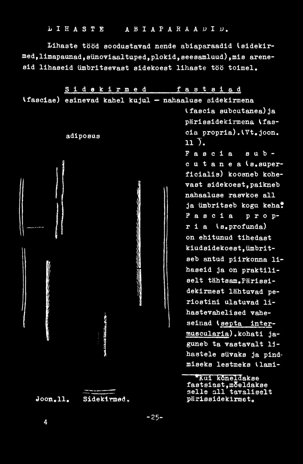 joon. 11 7. F a s c i a s u b cutanea I s.superficialis) koogneb kohevast sidekoest,paikneb nahaaluse rasvkoe all ja ümbritseb kogu keha?