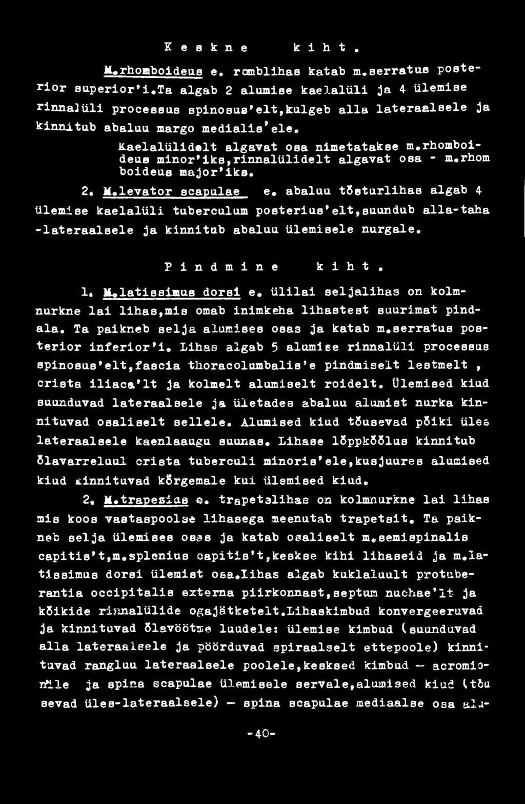 ülilai seljalihas on kolmnurkne lai lihas,mis omab inimkeha lihastest suurimat pindala. Ta paikneb selja alumises osas ja katab m.serratus posterior inferior'!