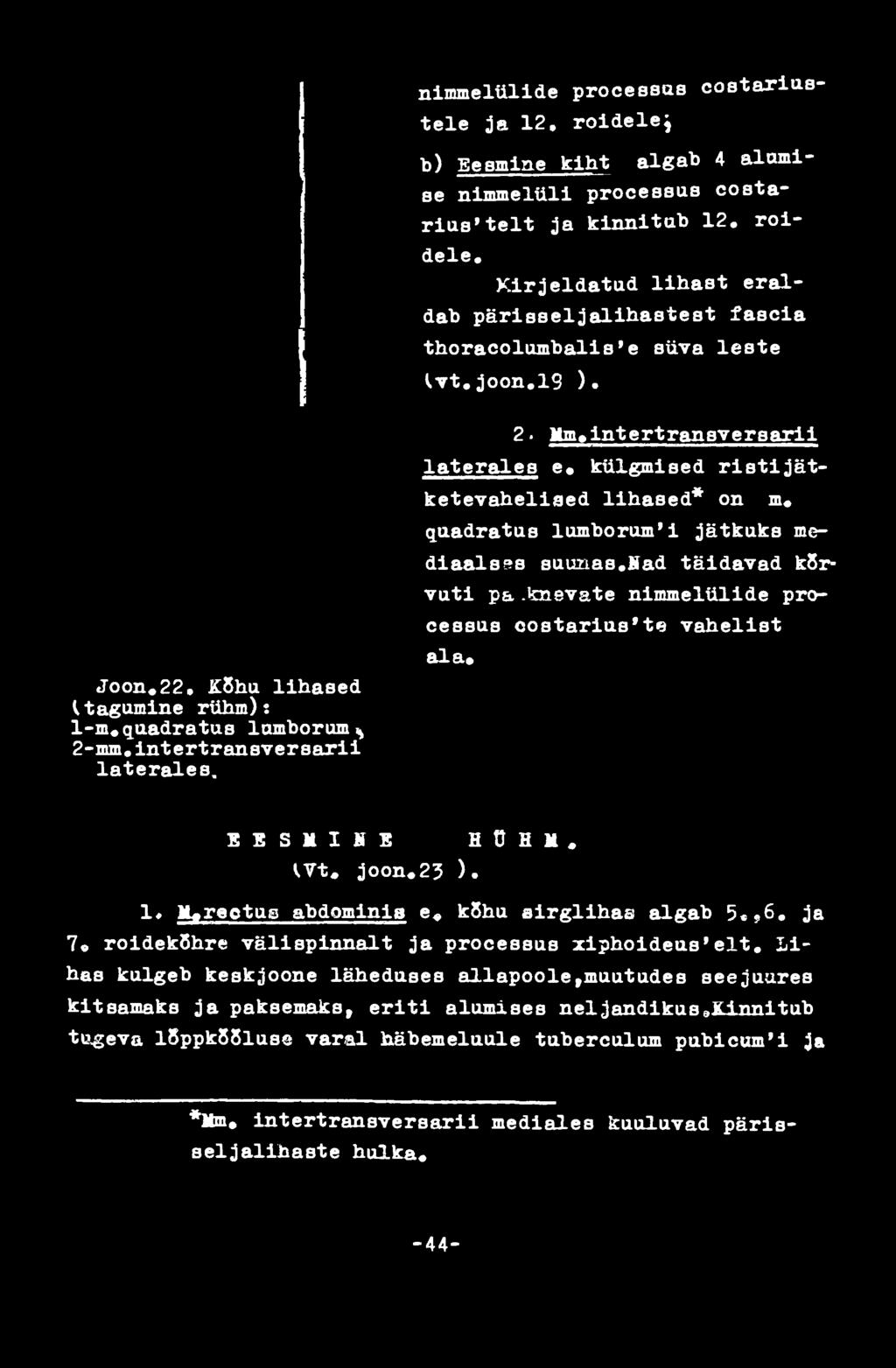 imevate nimmelülide processus oostarius*te vahelist ala«e E S M I N E H 0 H M» m» joon,23 ). 1«Moгесtus abdominis e» kõhu airglihaa algab 5«,6.