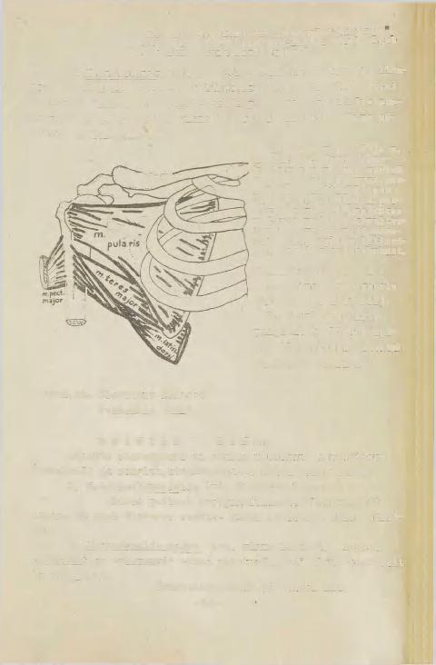 iiihaae alguskoht on inimesel "rännanud, abaluu tagumisele pinnale {inimahvidel algab ta abaluu lateraalselt servalt. 3. &.latlsslaus dorai e. selja lailihas Ivt.selja lihased).