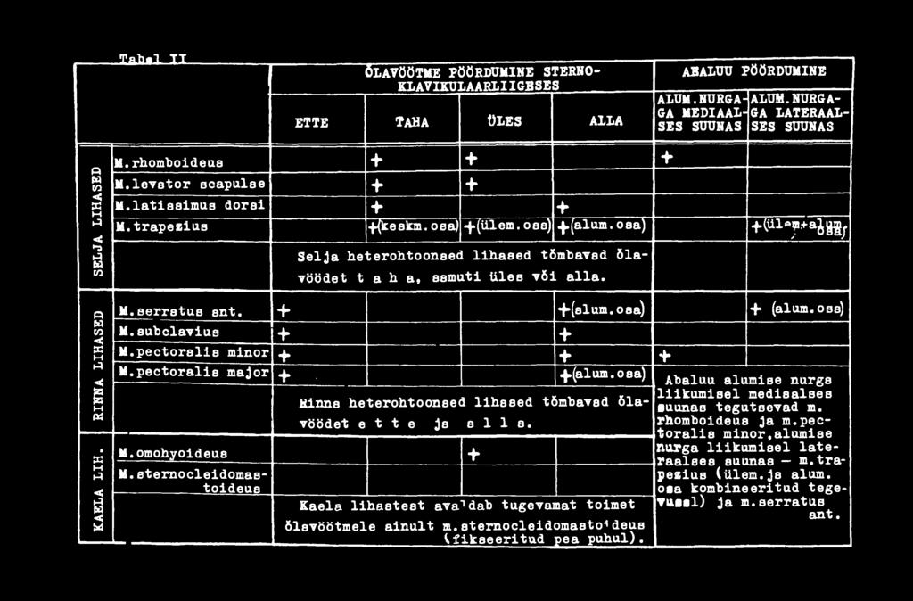 oaa) Abaluu alumise nurga liikumisel mediaalses Hinna heterohtoonaed lihaaed tõmbavad õla- suunas tegutsevad m. vöödet ette ja alla. rhomboideua ja m.