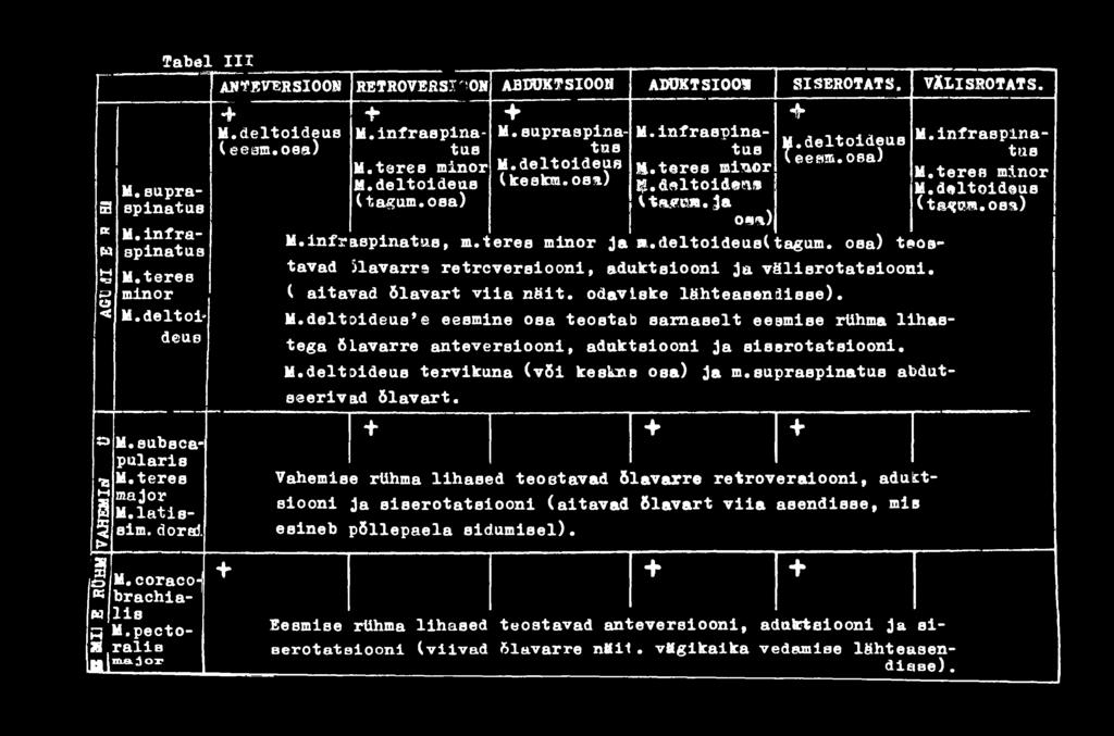 dolt oideua'e eesmi ne osa teosta b sarnaselt ee amise rühma lj ihastega 6 lavarre anteve rsiooni, adak tsiooni ja sis вrotatsiooni. M.delt oideus terviku na (või keekn в oea) ja m.