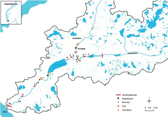 Figur 1. Espedalselva med nedbørfelt og stedsangivelse av kalkdoserere, vandringshinder for laksefisk og stasjonsnett for overvåking av vannkjemi, bunndyr og fisk.