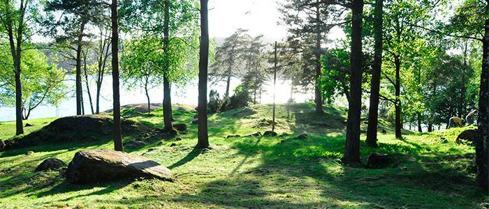 Foto: Jan Lindh, Søndre Hella, Nøtterøy Slått av