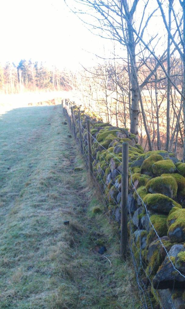 Vilkår forts plassering I grensa mellom utmark