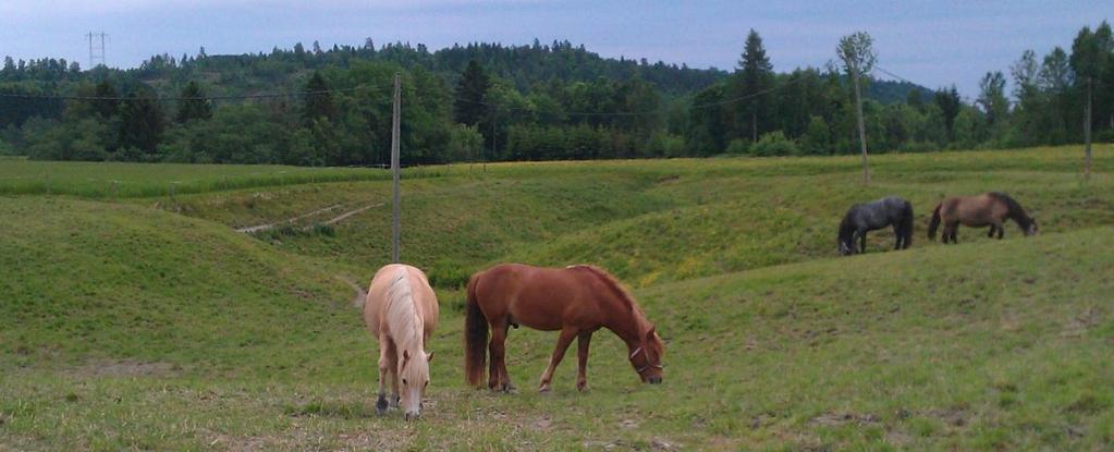 Beite av areal med spesielle verdier