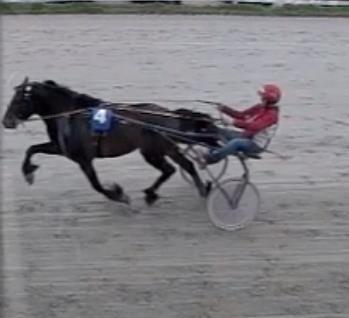 Løp 2 Kaldblods. 3-årige norskfødte. Tillegg 20m ved kr. 10 000,- 40m ved kr. 50 000,- 60m ved kr. 100 000. Tillegg 20 meter for hver vunnede pokal. Stengt ved vunnet tre pokaler.