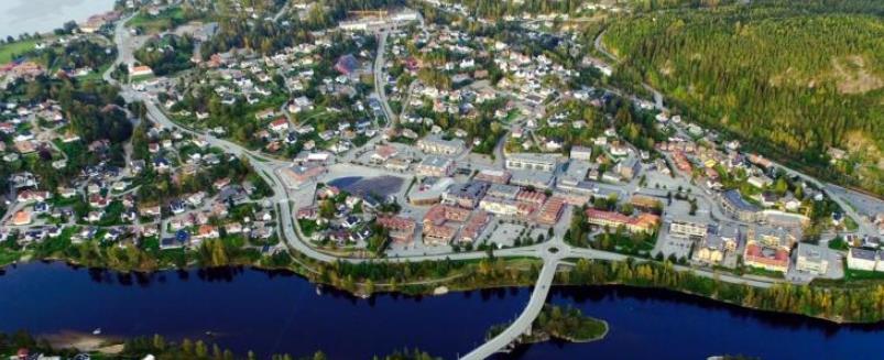 De omkringliggende åsene er i hovedsak preget av barskog, med innslag av blandet lauvskog særlig mot foten av åsene.