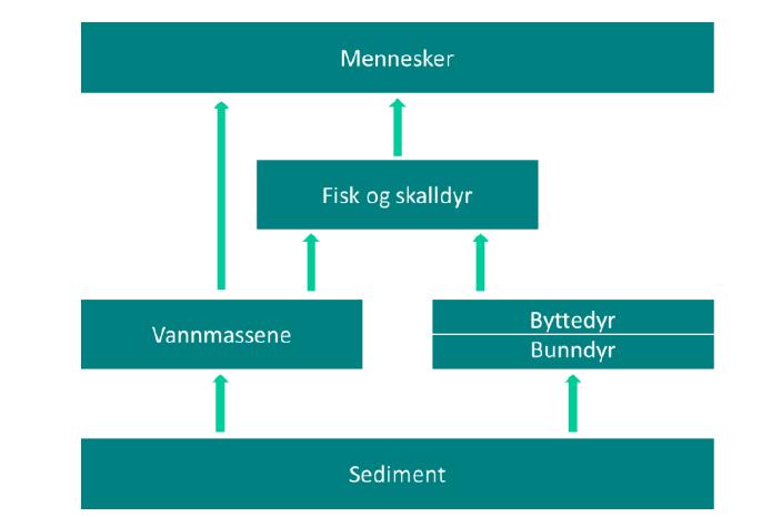 16 VRAGET - SEDIMENT Trinn 1 gir en konservativ vurdering av risiko. Dersom grenseverdiene overskrides skal Trinn 2 av risikovurderingen gjennomføres (Figur). 4.