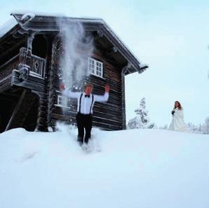 3.1 Rendyrke og forsterke de ulike områdene Bergsdalen som reisemål har tre ulike funksjonssoner: Dale som innfallsport og handels- og servicesenter Lid og Brekke med Bergsdalstunet og Bergsdalshytta.