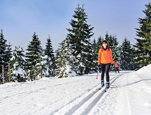 Det konseptet som foreslås her er moderat og bygger på hva vi opplever at aktørene i Bergsdalen ønsker, dvs. en småskala utvikling innen reiseliv og opplevelser.