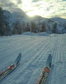 2.2 Nåsituasjon reiselivsaktivitet Bergsdalen har vel 300 private hytter.