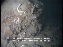 Figur 44. Bilder av bunnen på 57,4 venstre) og 58,6 m dyp (høyre) i transektet på stasjon ROV 5. Figur 45.