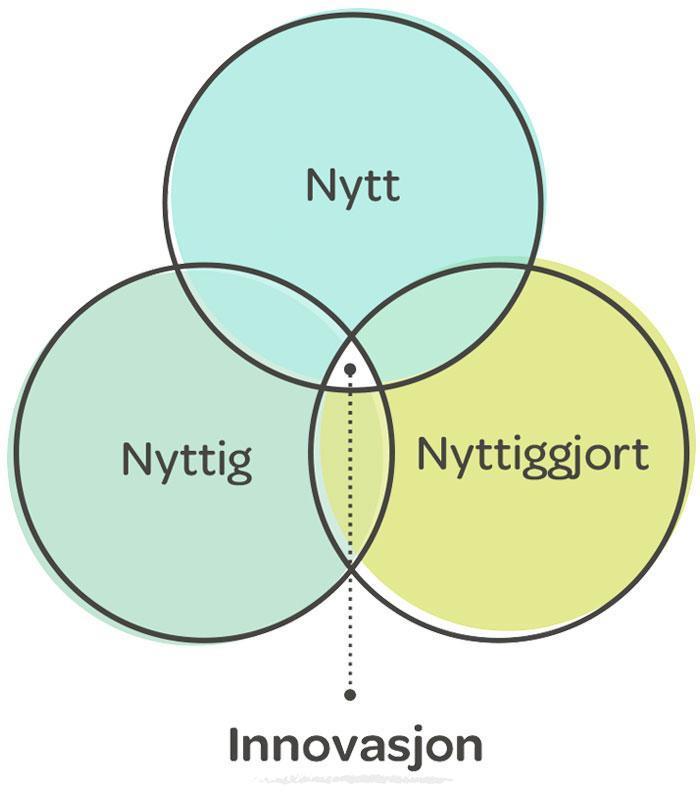 Kultur for endring INNOVASJONSPOLITIKEREN: Identifiserer utfordringer og setter ambisiøse mål/visjoner Mobiliserer for gjennomføring av vedtatt løsning Driver samfunns-debatten INNOVASJONSLEDELSE: