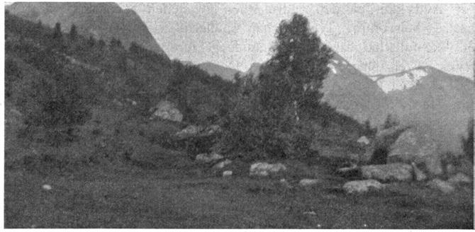 Moreneterrassen fra midten av billedet ovenfor. Gr. fot. Fig. Il.