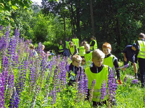 3. Dugnadsarbeid, tre lukedugnader 9. Juni. Lukedugnad i Solbergfjellet naturreservat Solbergfjellet naturreservat inneholder flere sjeldne orkidearter, bl.a. rød skogfrue.