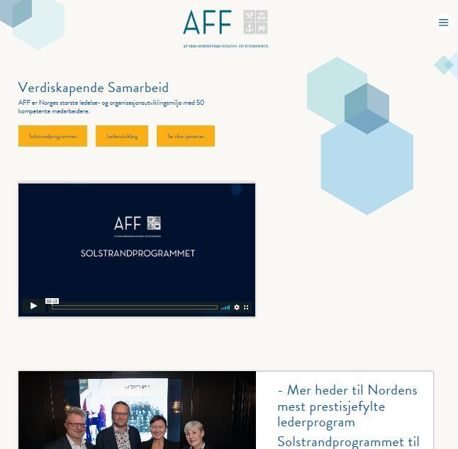 . AFF: - Ledelse - Roller- avklaringer -