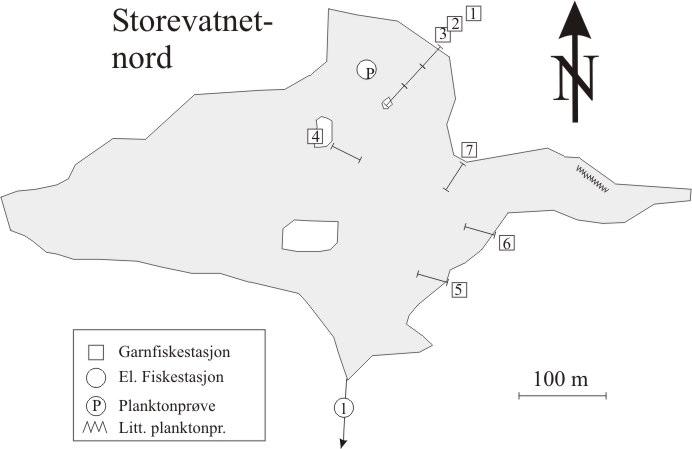 3 STOREVATNET-NORD I FJALER INNSJØEN Storevatnet (LN 86 95, 7-3) ligger øverst i Guddalsvassdraget i Fjaler kommune, 660 moh. Innsjøen har et areal på 0,3 km².