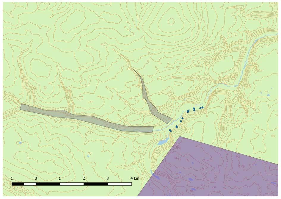 Figur 3.2.4 B) Planlagte lokaliteter for innhegninger som planlegges å settes opp i sammenheng med intensivkvadrater (i.e. oppsett med en større innhegning pluss to mindre bur).