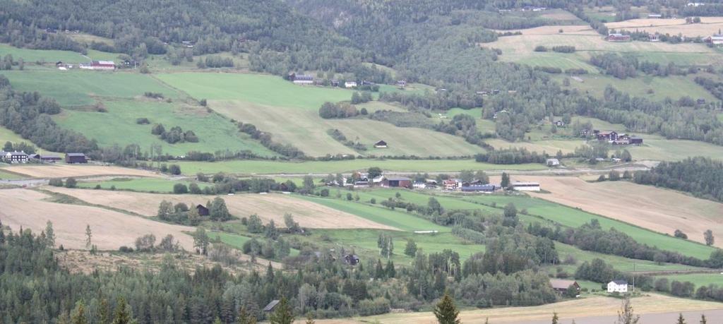 andre skogstypene og tidligere beiteområder til andre, lettere strukturer. Granskogen preger til en stor del de øvre delene (åsformasjonene) som danner silhuetten i dalrommet.