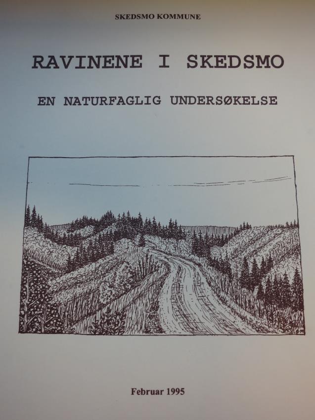 / 2 0 1 5 Politisk vedtak om en plan for vern av raviner! Behandling av Kommunestyrets budsjettforslag 5.12.2007: Vedtak: «Rådmannen legger fram en egen plan for vern av raviner».