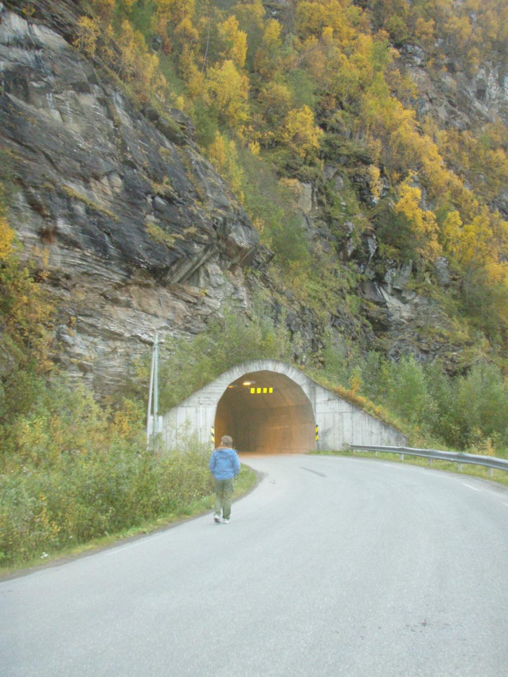 BERG OG BERGSIKRING 11 (17) Bilde 1: Portal i øst.