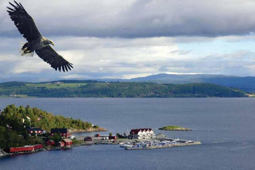 TRONDHEIMSFJORDEN TRONDHEIMSFJORDEN Trondheimsfjorden strekker seg helt opp til Steinkjer i Nord-Trøndelag.