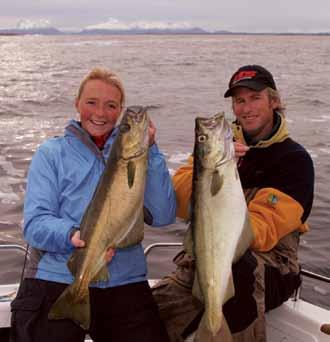 Langs hele kysten finner du gode anlegg, med vertskap som tilbyr alt fra husrom og leie av båt, til råd om sikkerhet på sjøen og ikke minst hvor du finner de beste fiskeplassene.