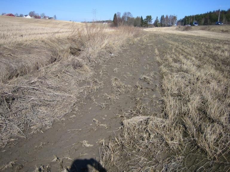 En palett av tiltak i landbruket endret jordarbeiding endret produksjon (høstkorn) fangdammer m/u filter vegetasjonssoner grasdekte vannveger hydrotekniske utbedringer kumdammer redusere tråkkskader