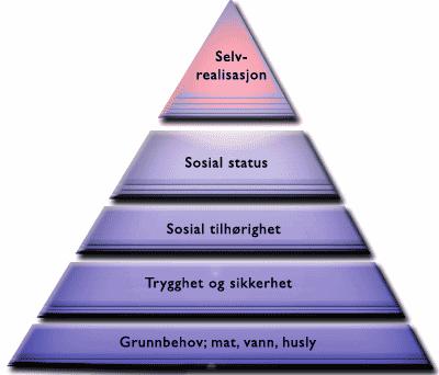 mer sårbare enn andre asylsøkere. Dette tilsier at en bør være mer sensitiv i returarbeidet i forhold til denne gruppen asylsøkere. 1.