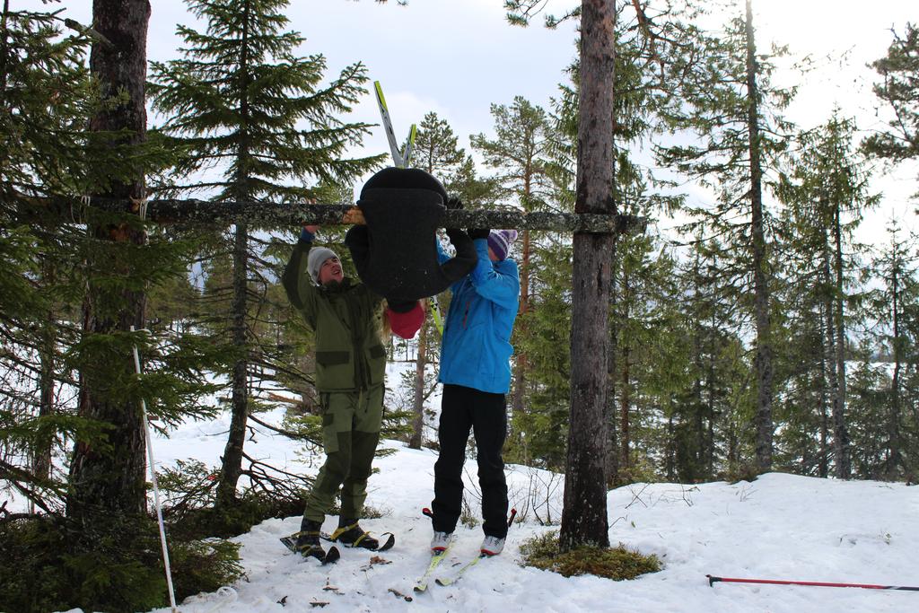 Sak 7: Forslag til budsjett for 2016. Nytt budsjett legges fram av kretsstyret. Vedlegg 2.