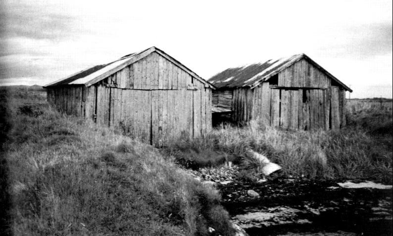 Naustet til venstre ligg på same staden som naustet der omstreifarane blei ovefalne. Foto: Bjørn Sandøy 2000.