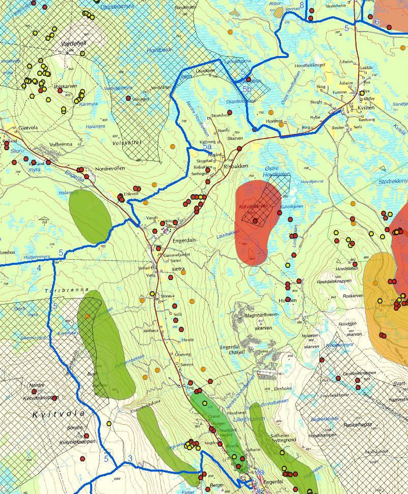 Snøscooterløyper Engerdal Konsekvensutredning av innspill Naturmangfold Løype nr.5 går gjennom to INON områder, og passerer noen registreringer av arter med særlig stor forvaltningsinteresse.